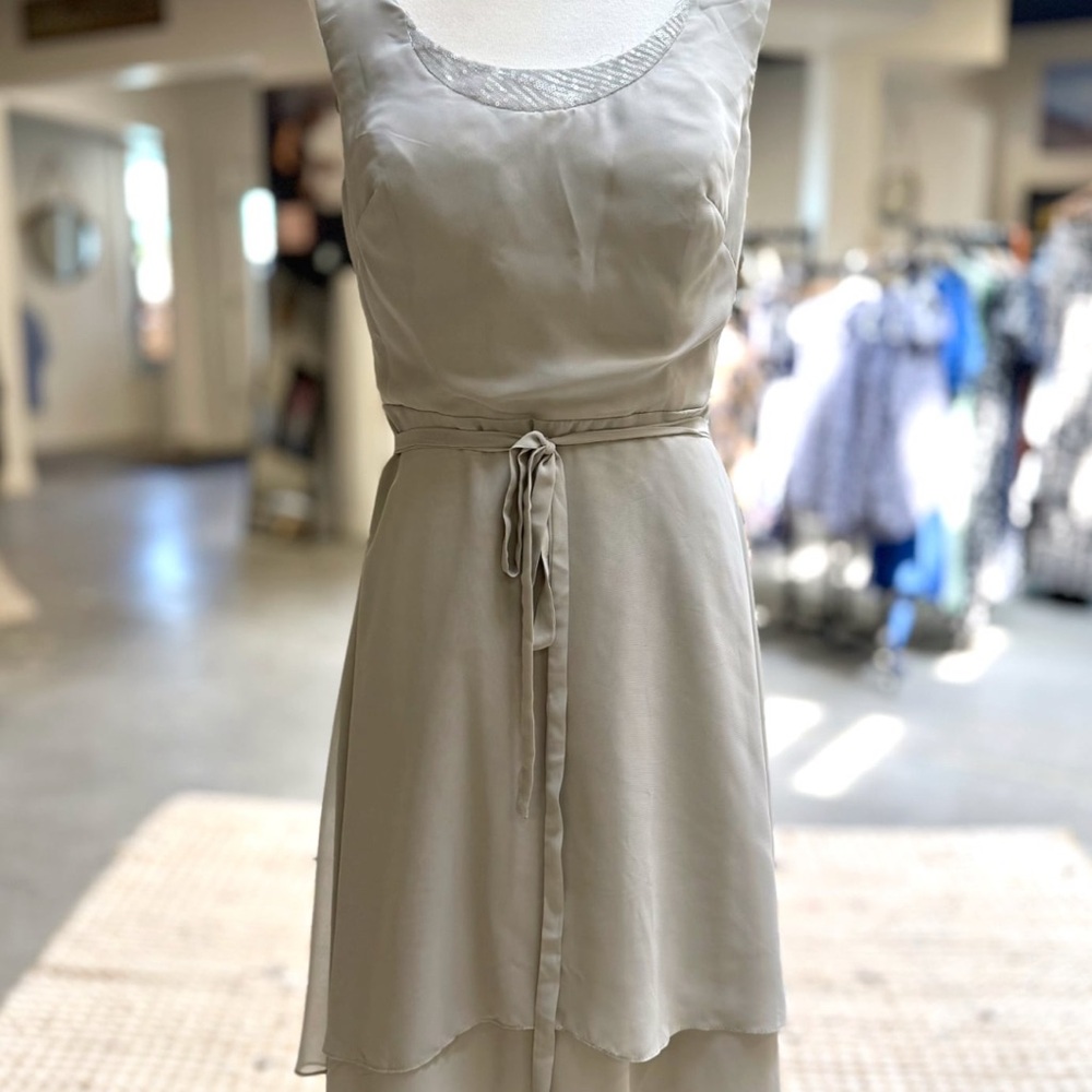 Elegant Lite Gray Sleeveless Dress